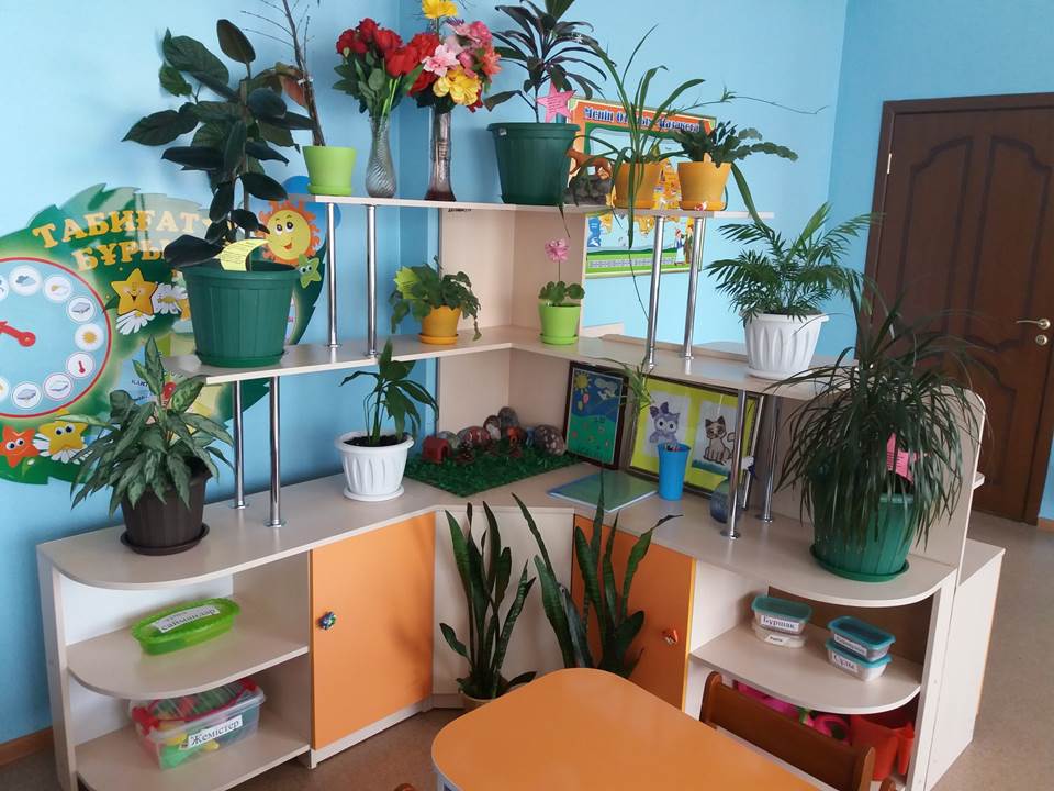 Балабақша мәліметтері