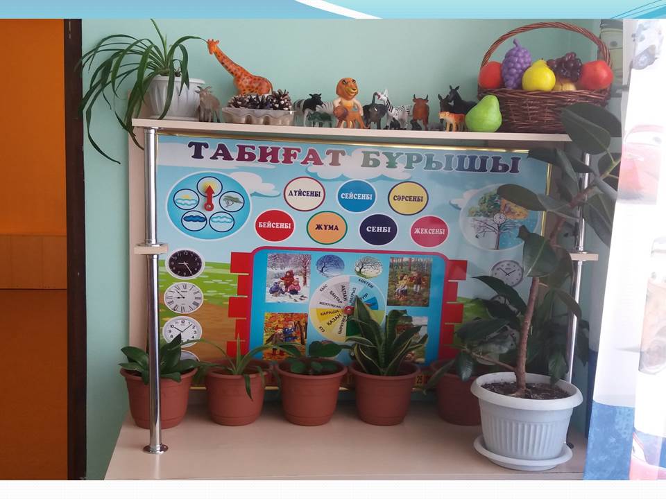 Балабақша мәліметтері